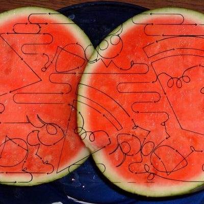 Watermelon Picnic 10