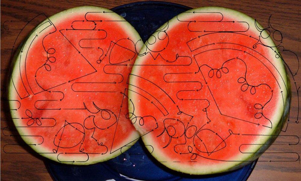 Watermelon Picnic 10