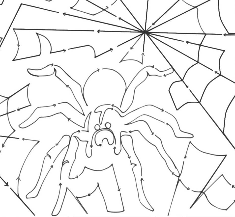 Spider Webs 10