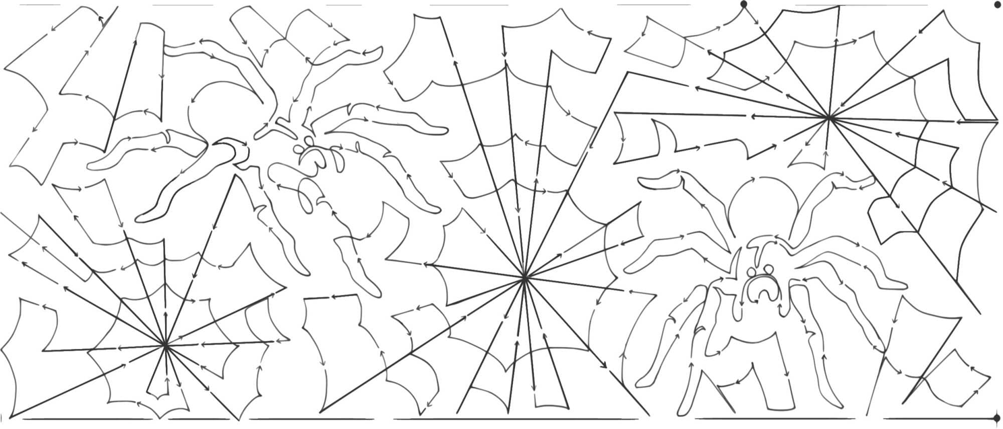 Spider Webs 10