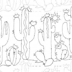 Cactus Garden