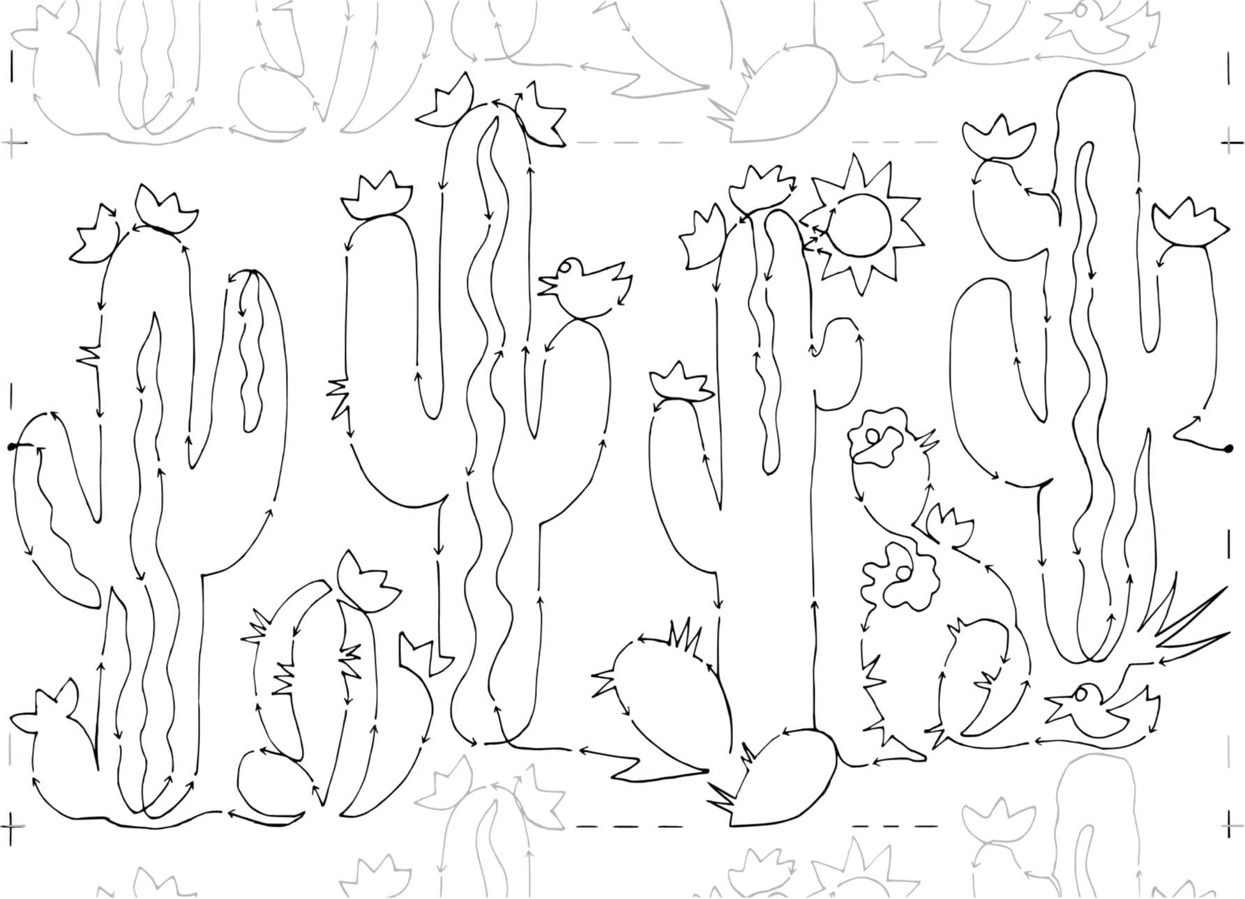 Cactus Garden