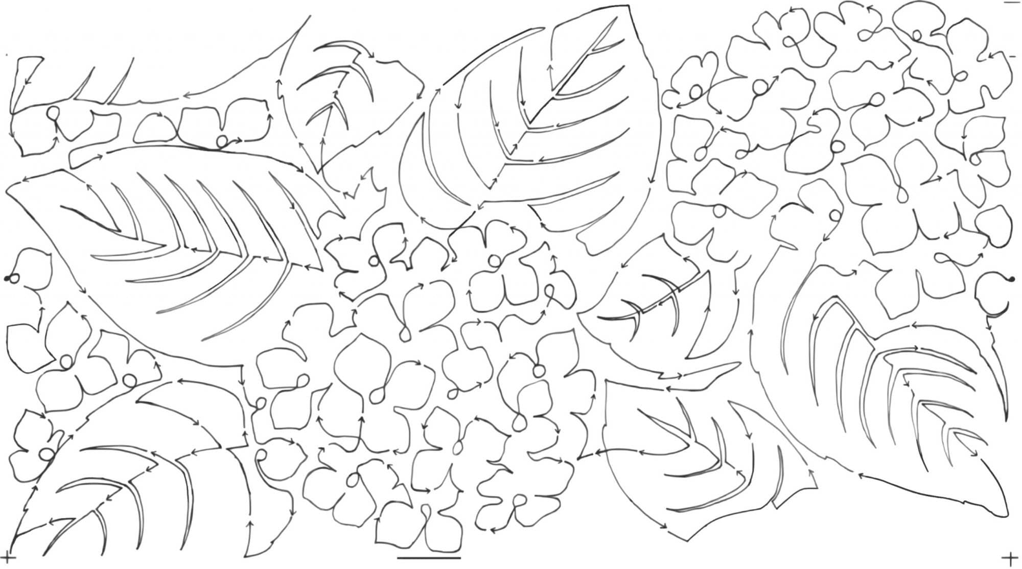 Hydrangea