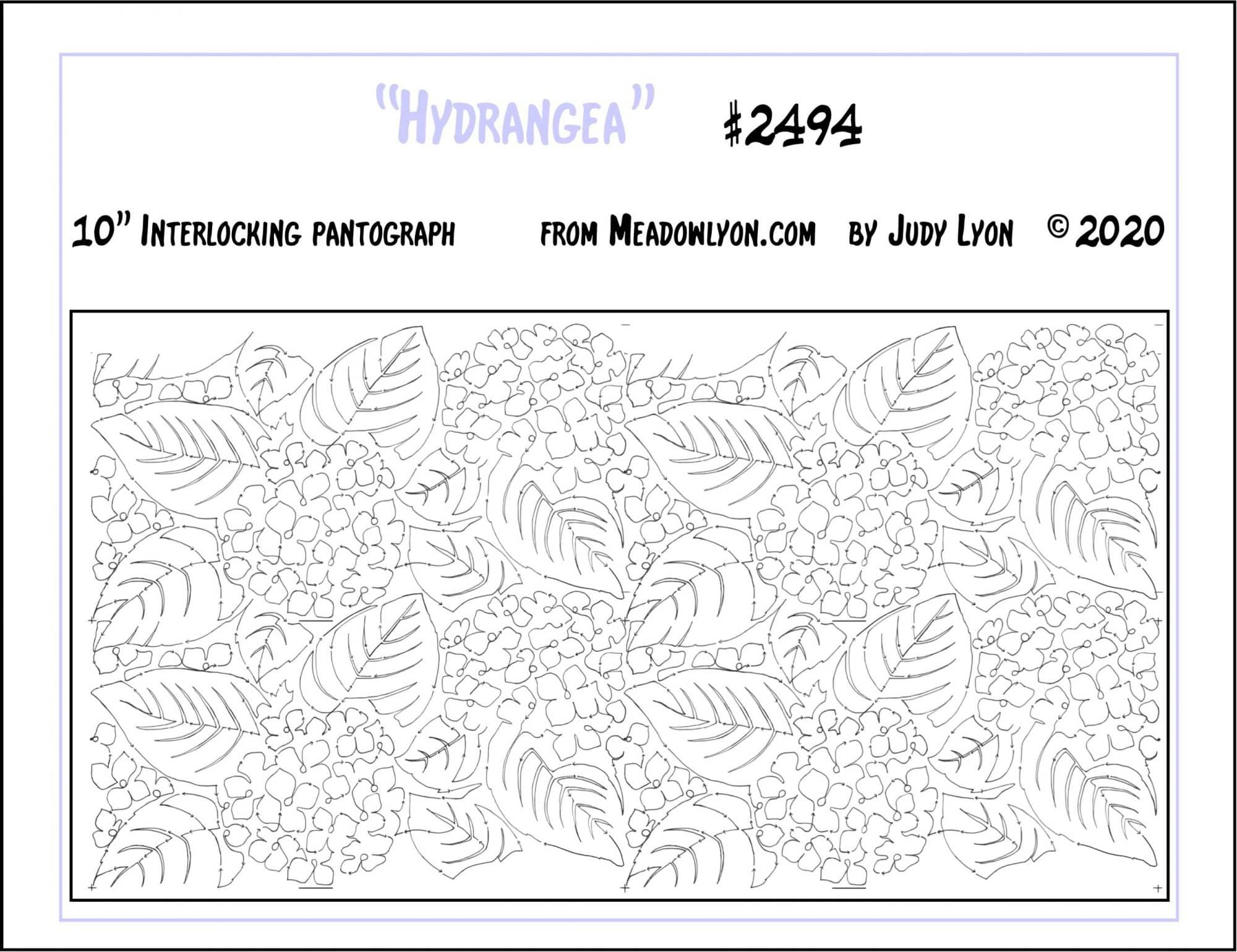 Hydrangea - Image 2