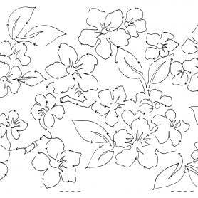 Pear Blossoms