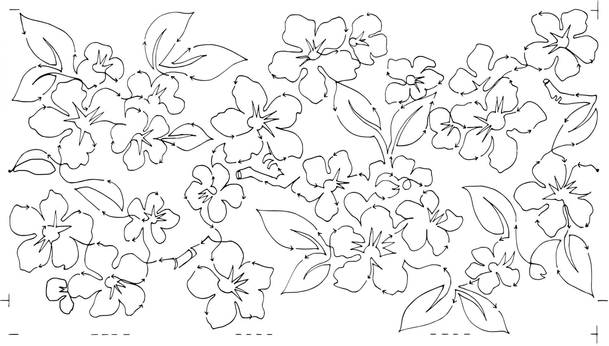 Pear Blossoms