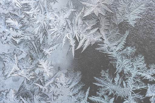 Frosty  11