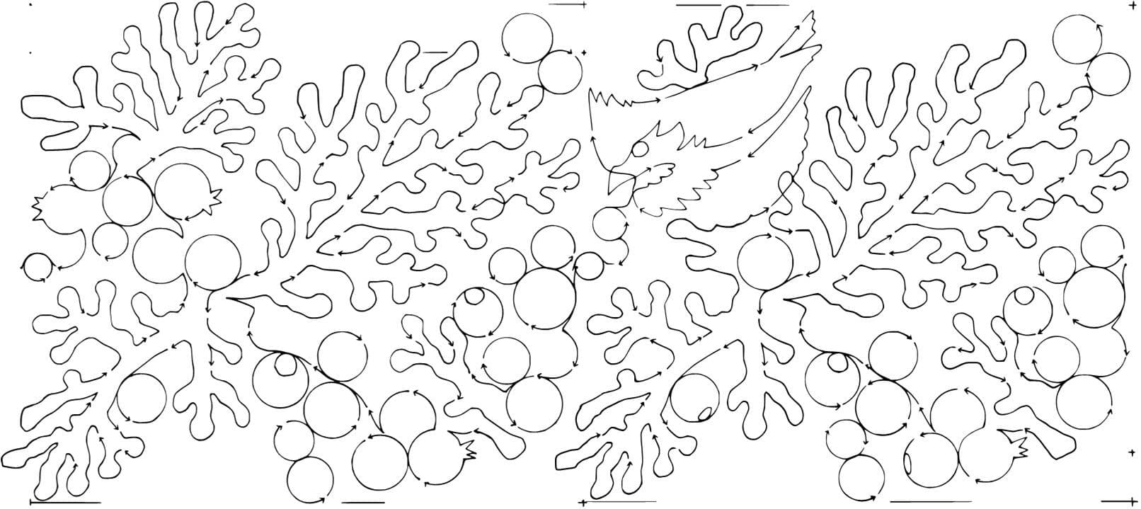 Juniper Berries  11