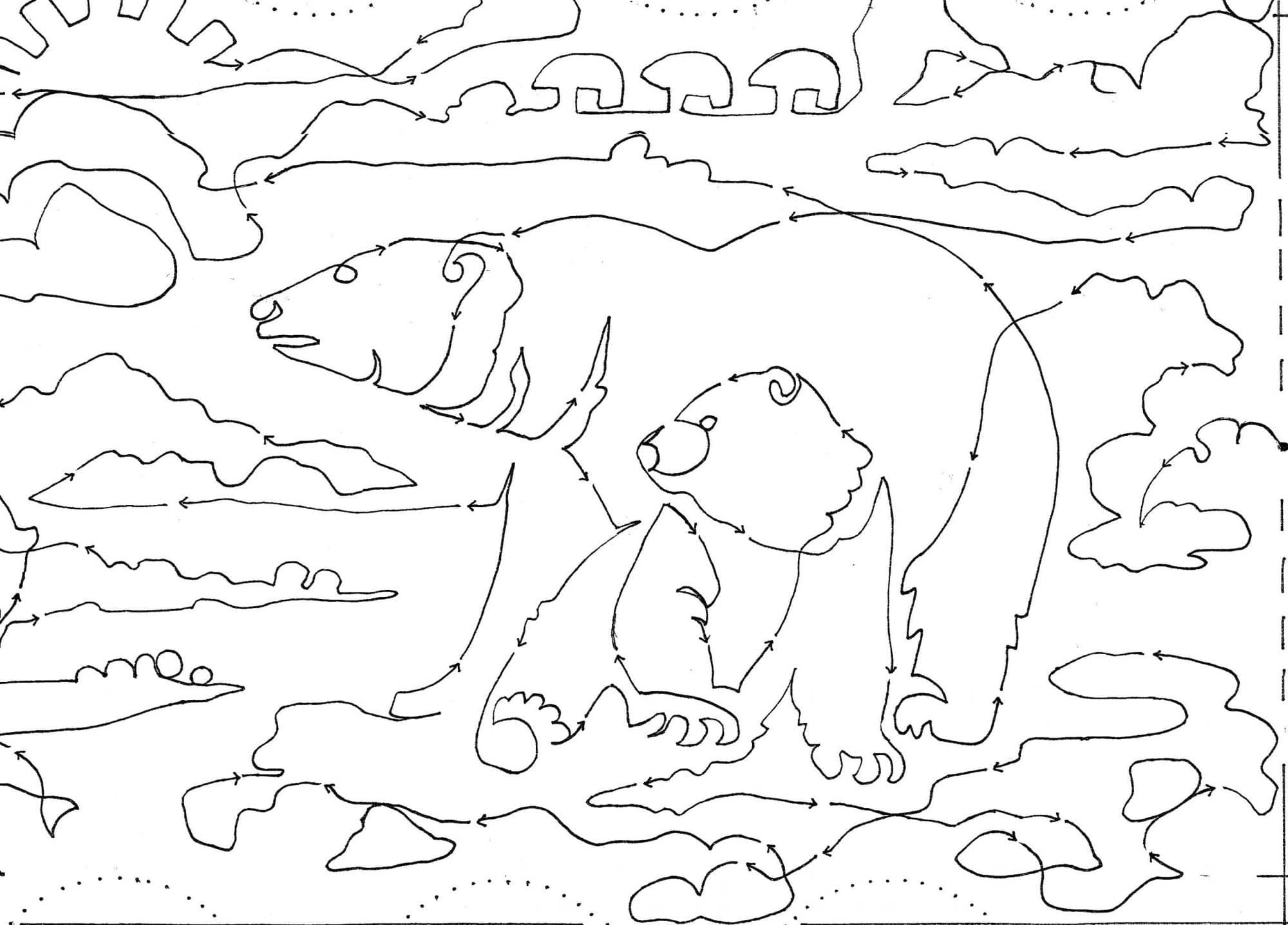 Polar Bears