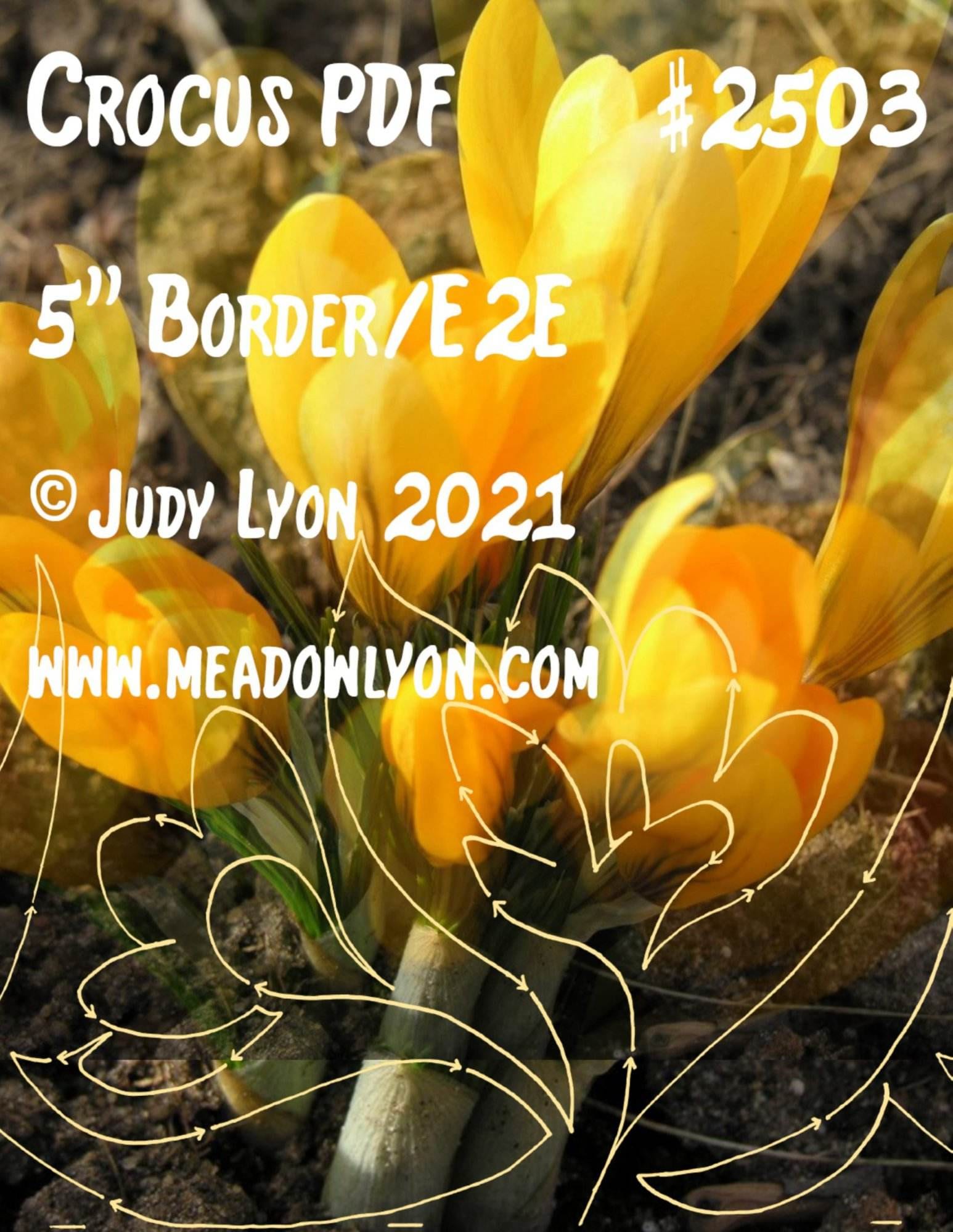 Crocus