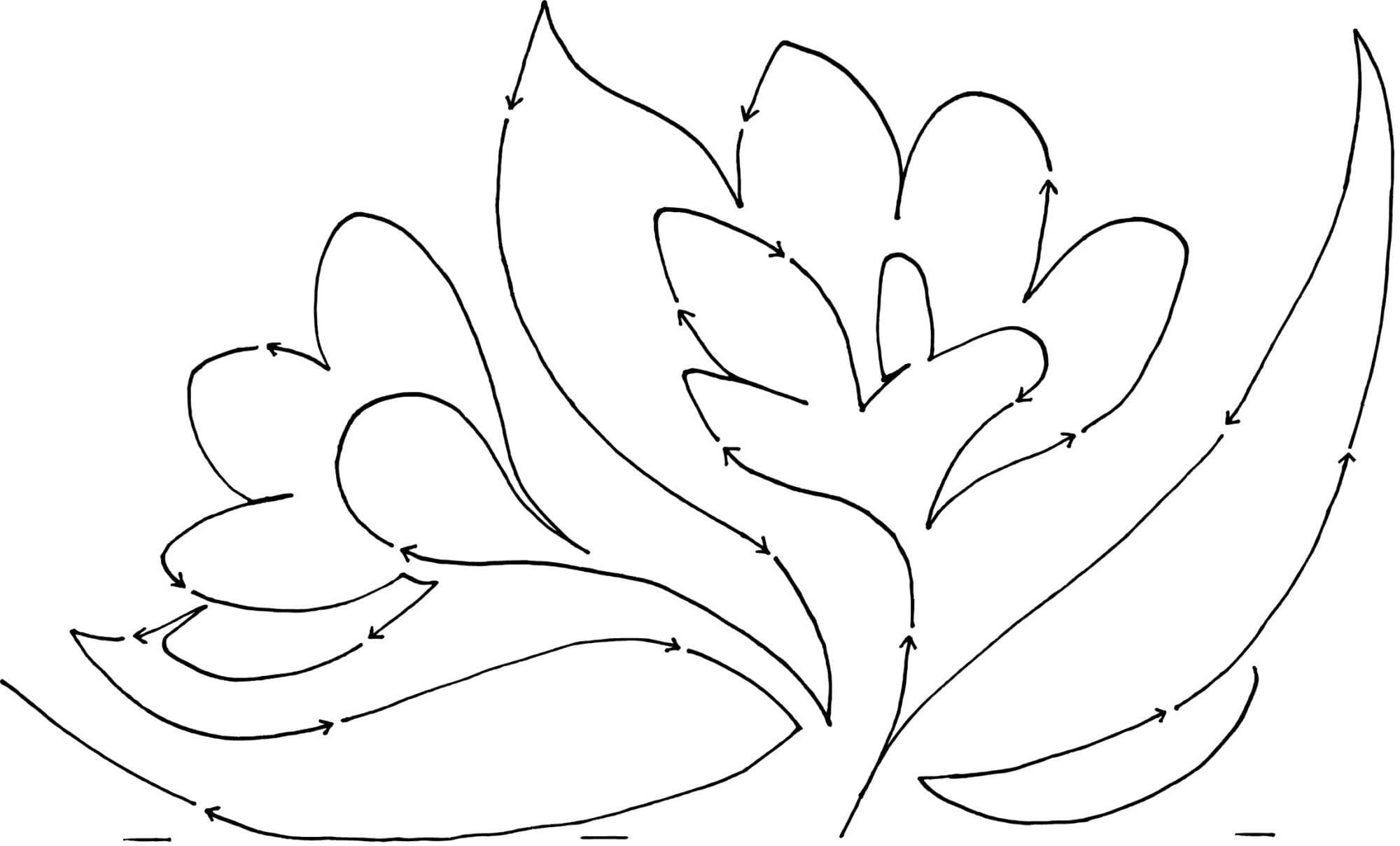 Crocus - Image 3
