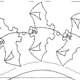 Bats