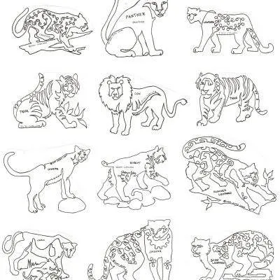 Big Cats PDF 8