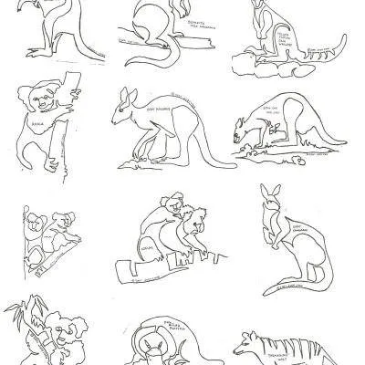 Down Under 8