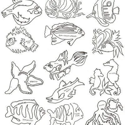 Fishy Business Set #1 8