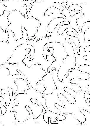 Rainforest 11
