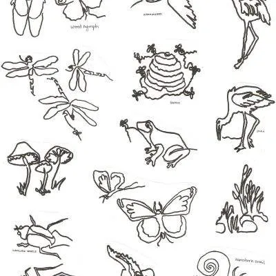 Swamp Critters