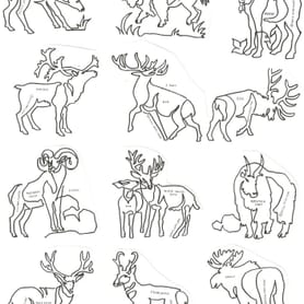 Antlers and Horns 8" Block Pattern