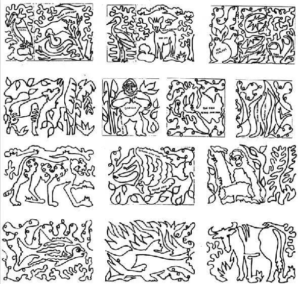 Additions to the Nature Series Border Patterns