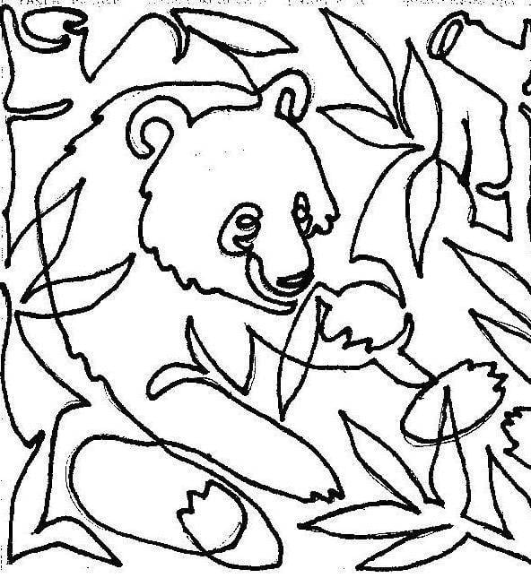 Panda-Monium 11" Pictogram