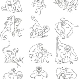 Primates 8" Block Pattern