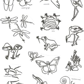 Swamp Critters