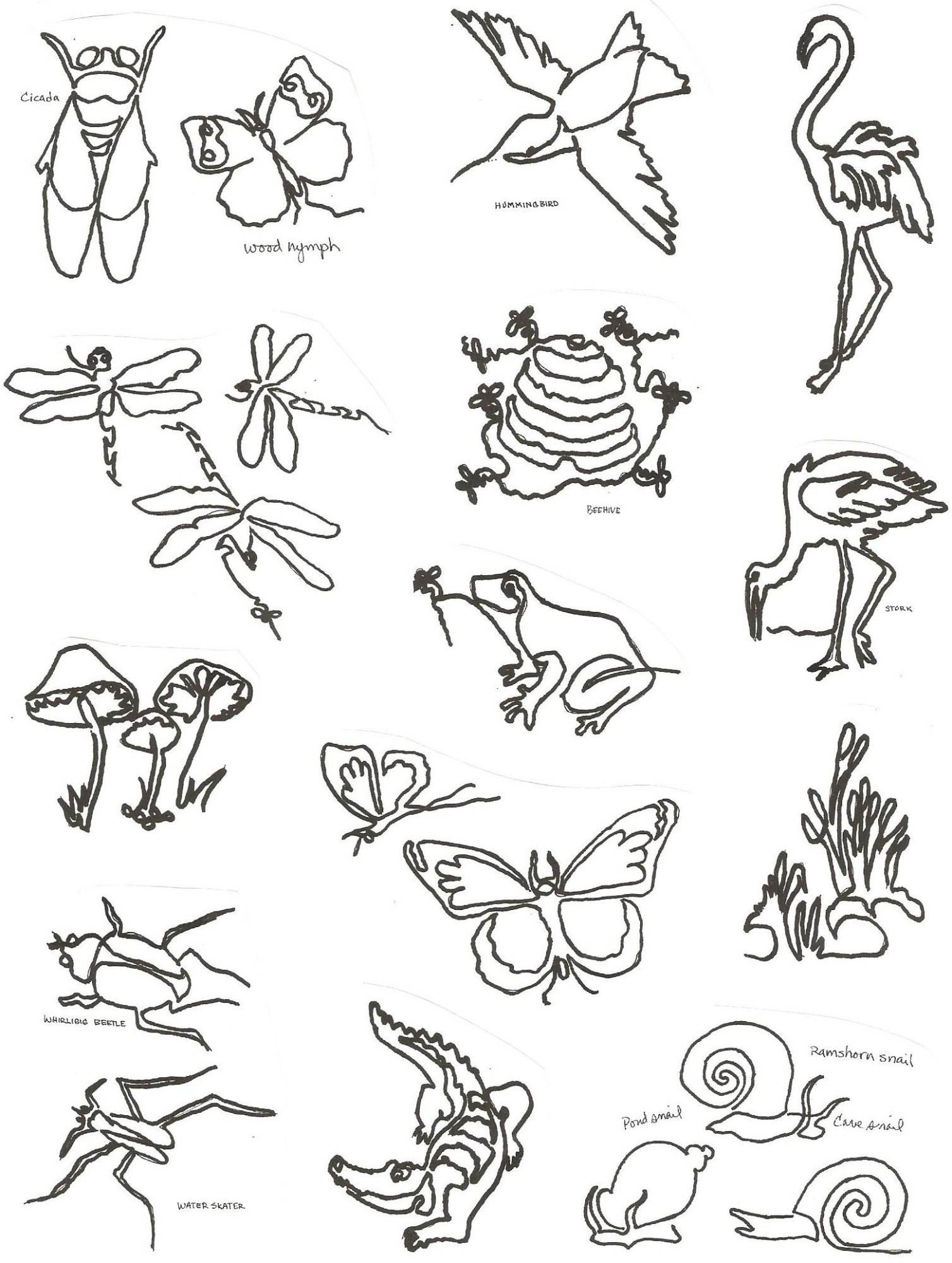 Swamp Critters