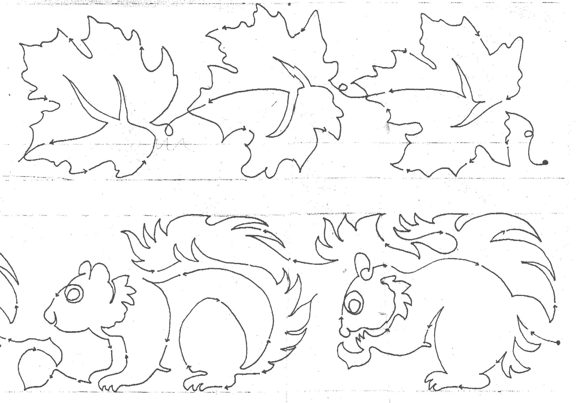 Maple Squirrels