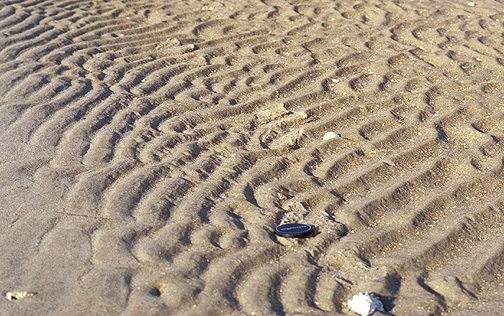 Beachcomber Set #66 - Image 6
