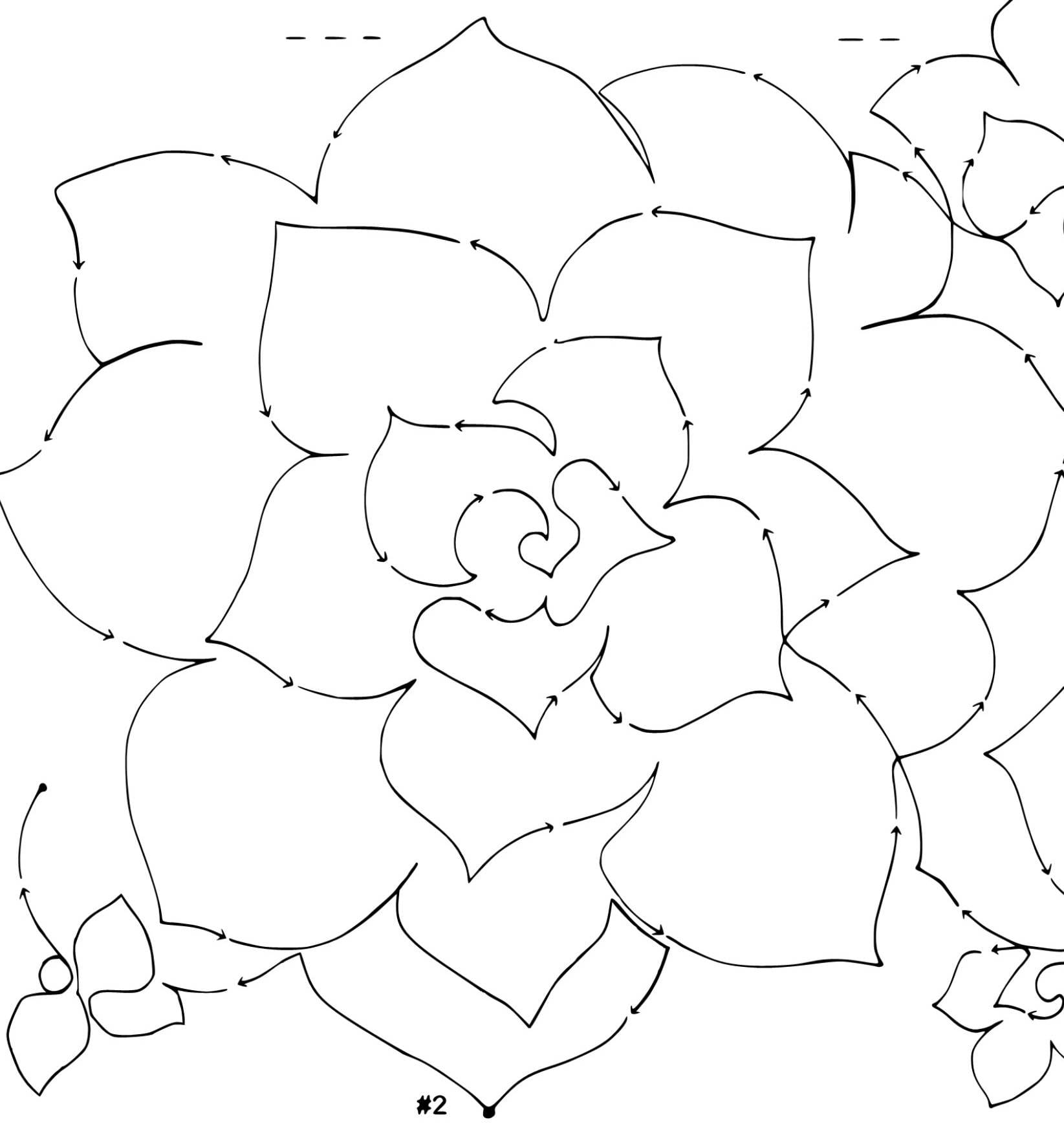 Desert Rose